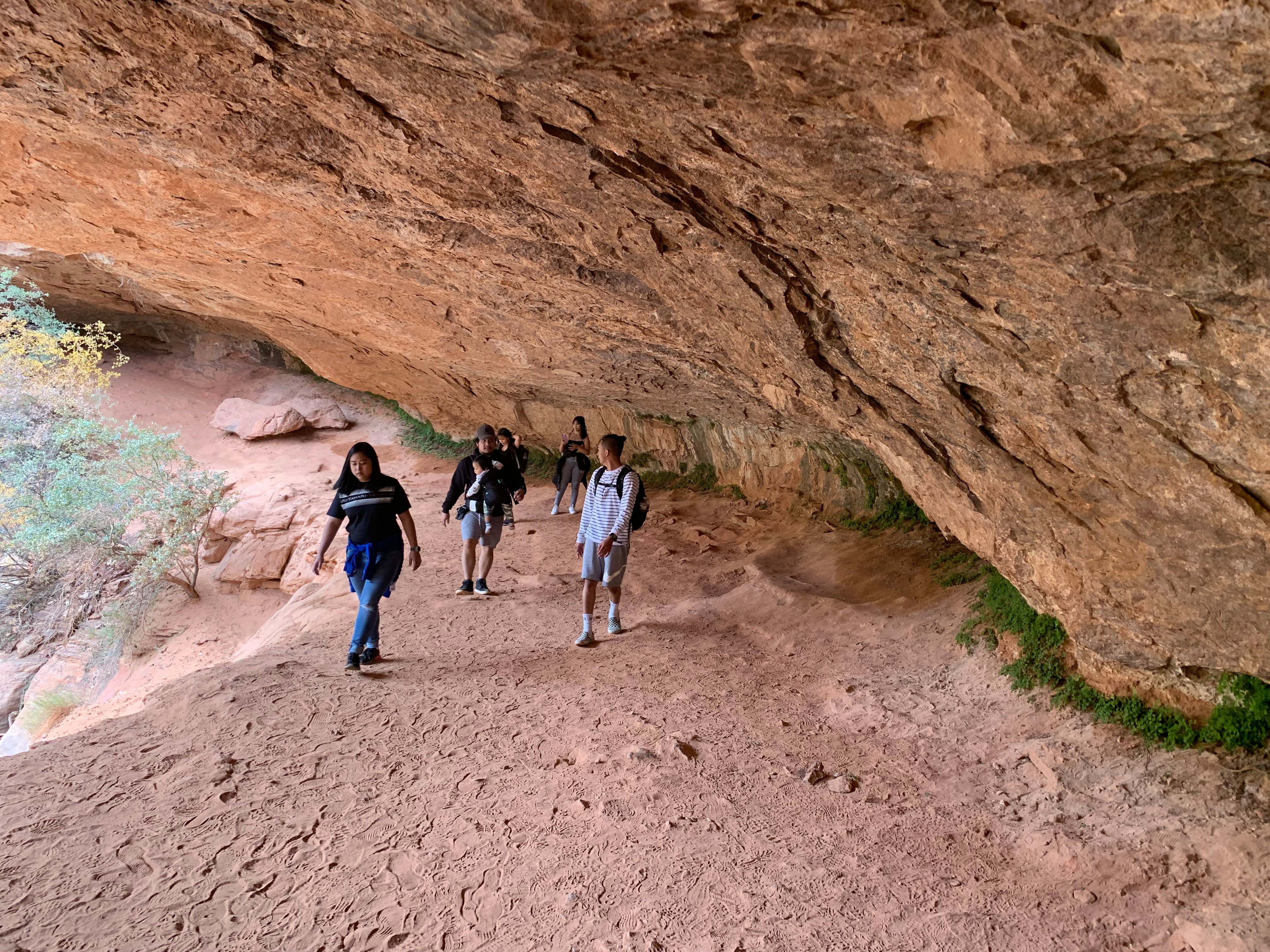 Zion NP